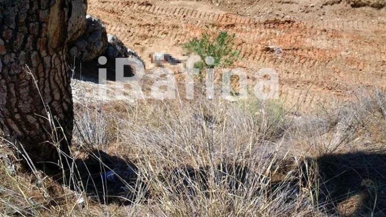 Μυστήριο με νεκρή γυναίκα στο ρέμα της Ραφήνας